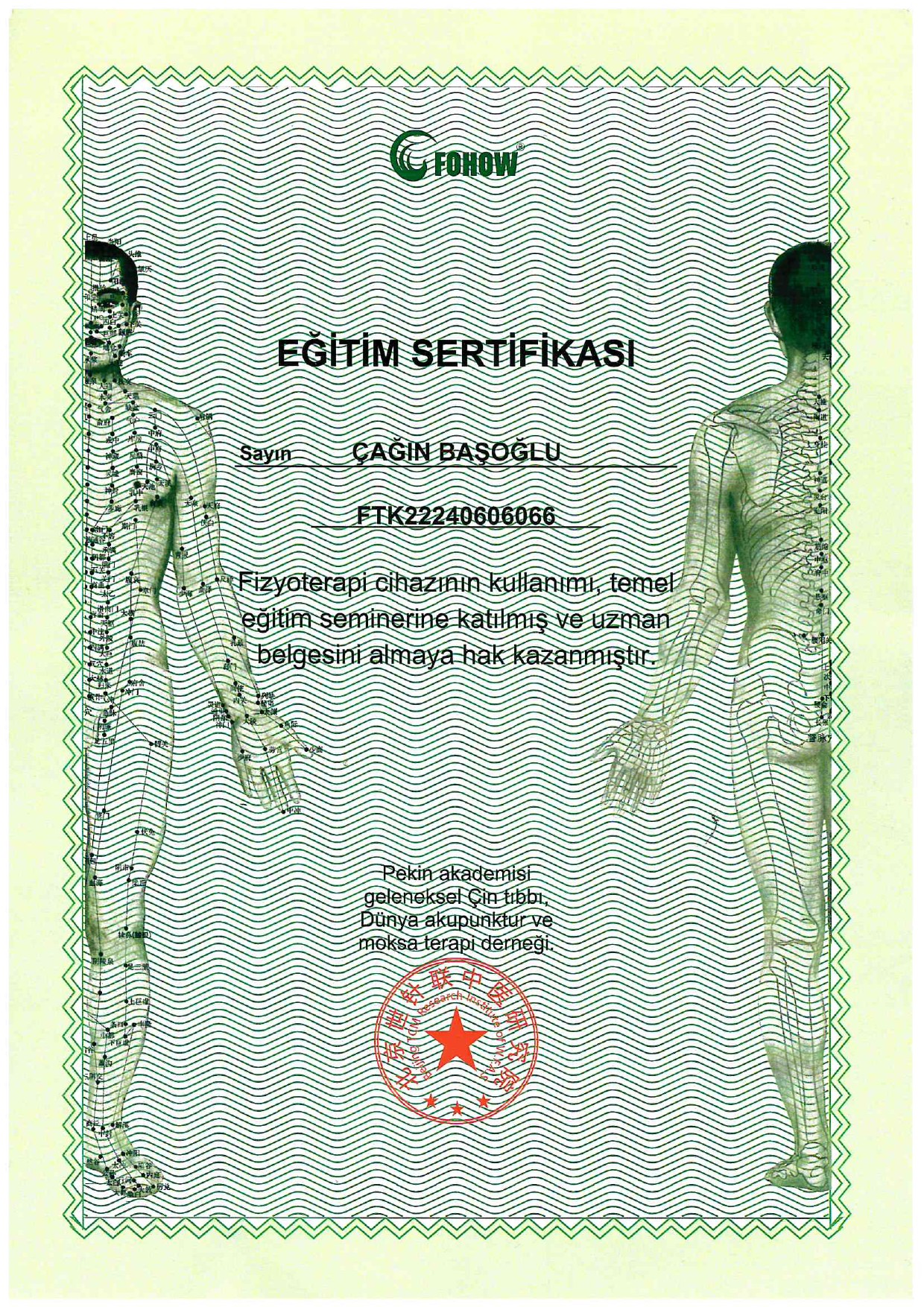 Meridyen terapi eğitim sertifikası