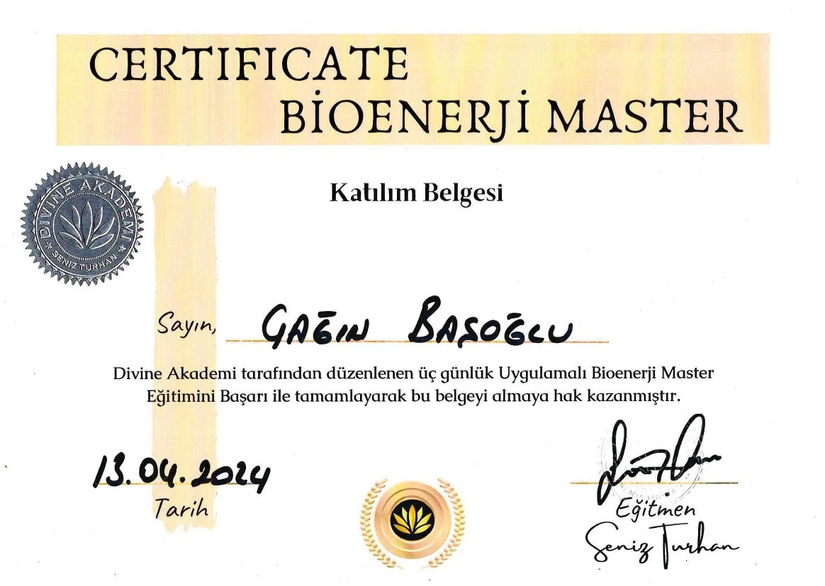 Çağın Başoğlu eğitim sertifikası 1