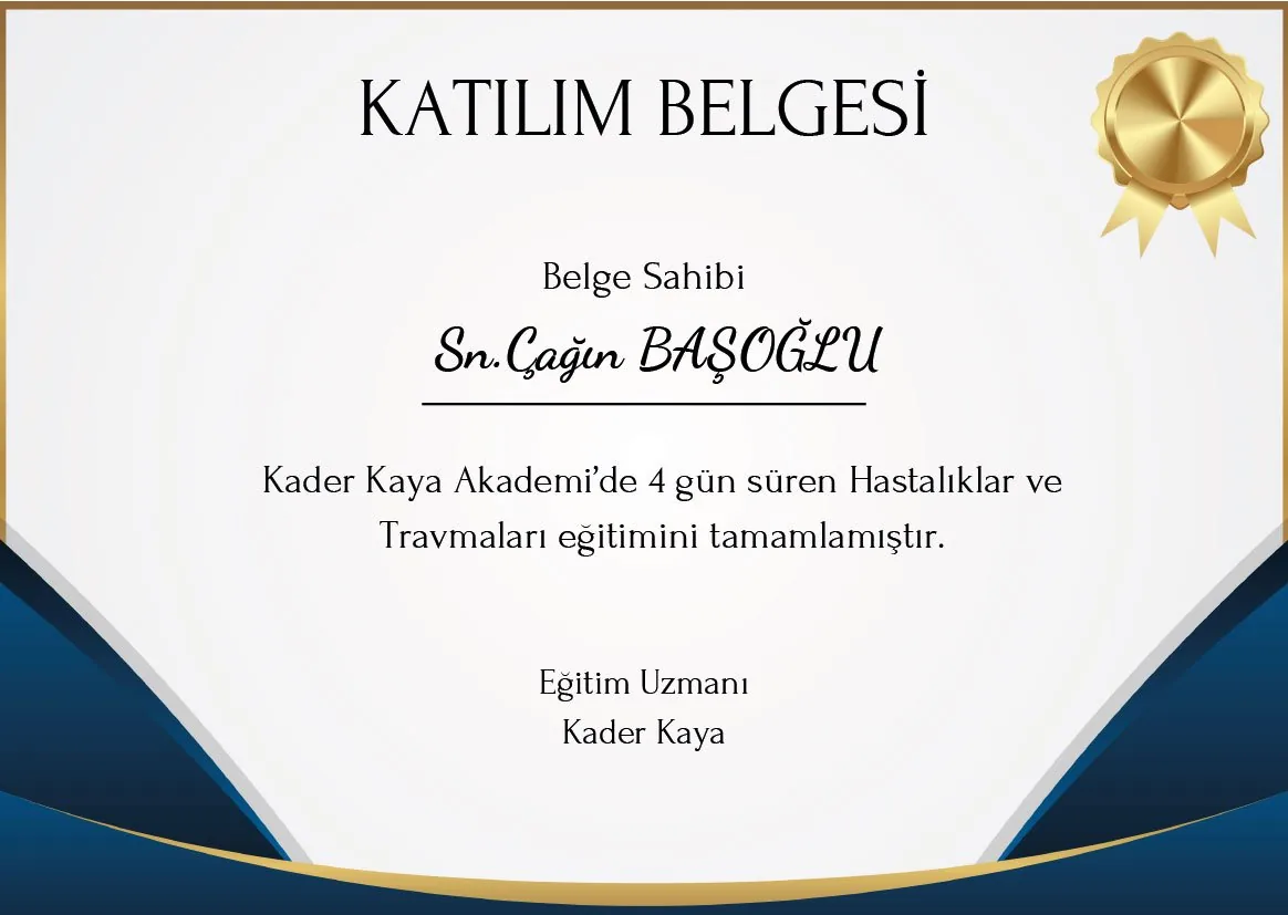 Çağın Başoğlu eğitim sertifikası 4