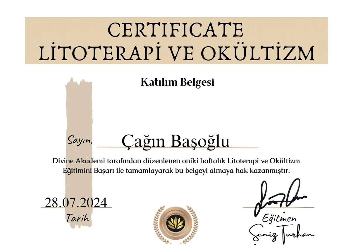 Çağın Başoğlu eğitim sertifikası 11